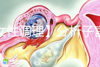 【女性調(diào)理】分析子宮壁薄的四個(gè)常見(jiàn)原因，教你三招對(duì)癥下藥可以快速改善！