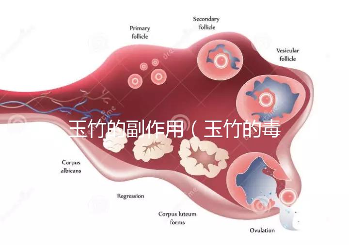 玉竹的副作用（玉竹的毒性有多強(qiáng)？）
