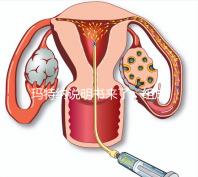 瑪特納說明書來了，組成成分、生產國家這都有