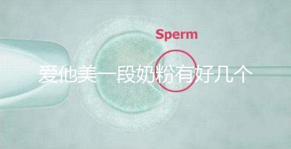 愛他美一段奶粉有好幾個版本,但真偽查詢方法都相似