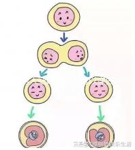 男人結(jié)婚時是否可以穿白色鞋子和白色西裝進行分析,看看對誰不利