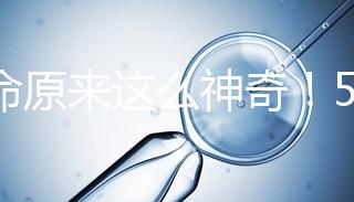 生命原來(lái)這么神奇！5個(gè)步驟詮釋胚胎培育的全過(guò)程