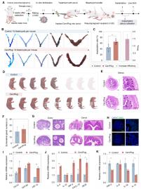 直擊 試管嬰兒全過程(直擊 試管嬰兒全過程視頻)