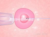 盤點孕中期4種睡姿,哪一種正確又健康?