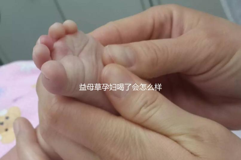 益母草孕婦喝了會怎么樣要早知，會不會流產、怎么辦這都有