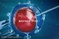 看到懷孕的第二個孩子!2024年廣州試管嬰兒費用清單