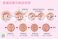 痛經貼多少錢一盒?不同品牌痛經貼價格盤點
