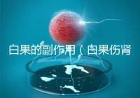 白果的副作用(白果傷腎還是補腎)