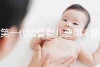 第一代試管嬰兒費(fèi)用（第一代試管嬰兒費(fèi)用大約多少）