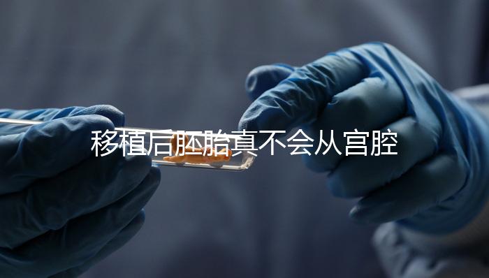 移植后胚胎真不會從宮腔掉出來！原因有這些...