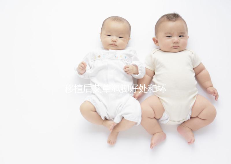 移植后艾草泡腳好處和壞處大PK,想提升試管成功率看過來(lái)