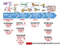 網(wǎng)上解密內(nèi)蒙古生育登記要不要辦理，想造包頭怎么辦？