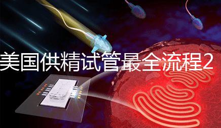 美國供精試管最全流程2024，時間長短關鍵看身體情況