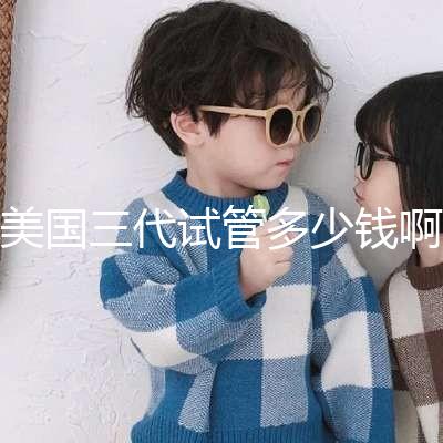 美國(guó)三代試管多少錢(qián)啊