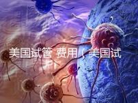 美國試管 費用（美國試管費用）