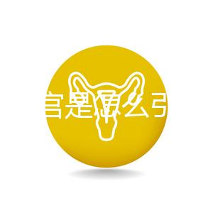 縱隔子宮是怎么引起的？十有八九是這些原因導致