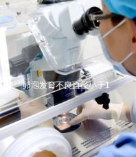 卵泡發(fā)育不良直徑小于18mm,5種方法提高卵子質量
