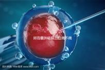 卵泡囊腫破裂出血痛不痛?經(jīng)歷過(guò)的姐妹們給出回應(yīng)