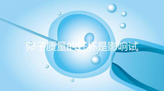 卵子質量的好壞是影響試管嬰兒懷孕的幕后黑手