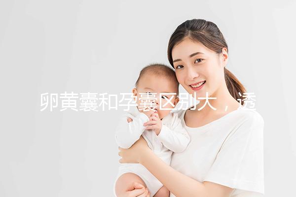 卵黃囊和孕囊區(qū)別大,透過B超首次為你揭露其形狀