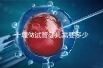 十堰做試管嬰兒需要多少錢?各大醫院成功率及費用在這里