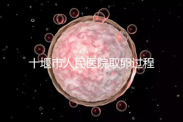十堰市人民醫院取卵過程詳解，三種情況可全身麻醉