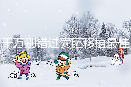 千萬別錯過囊胚移植最佳時間,早上or晚上有講究