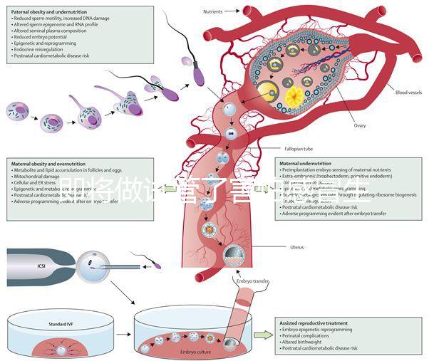 即將做試管了害怕感冒生病，這5招教你提高免疫力