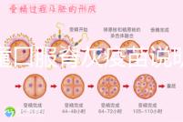 兒童口服脊灰疫苗說明書:兩種類型用法用量各不相同