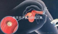 先天無(wú)子宮且卵巢正常,好孕難關(guān)有2點(diǎn),腹部取卵能幫其一