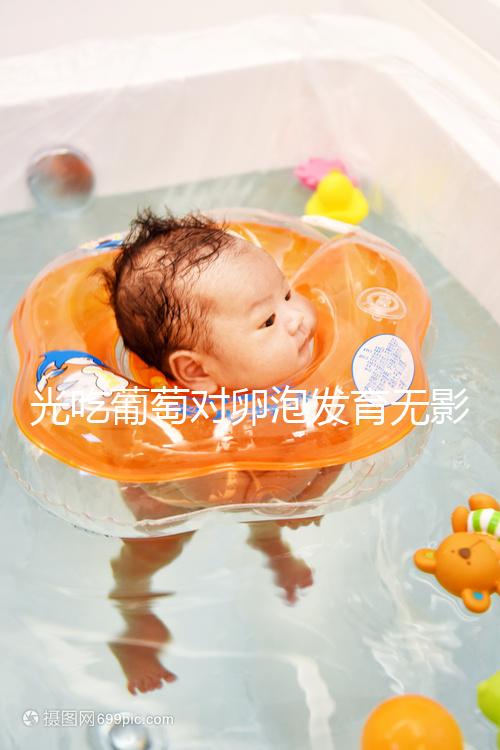 光吃葡萄對(duì)卵泡發(fā)育無(wú)影響,不妨試試葡萄籽(附對(duì)卵巢好處)