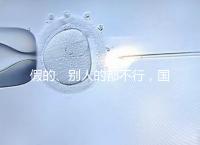 假的、別人的都不行，國內做試管無結婚證真不能過關！