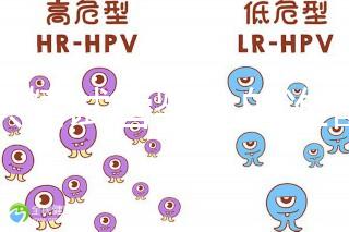做供精試管嬰兒的準(zhǔn)備（供精試管嬰兒大概需要多少錢(qián)）