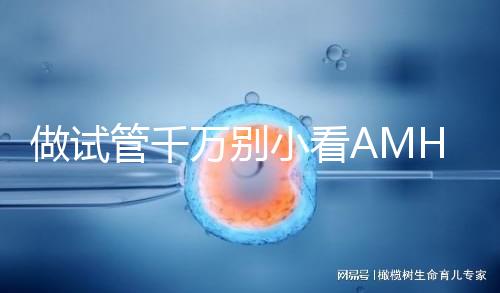 做試管千萬別小看AMH值，想手術必須先滿足其最低要求