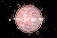 司法親子鑒定流程揭密，附準備材料請一并參考