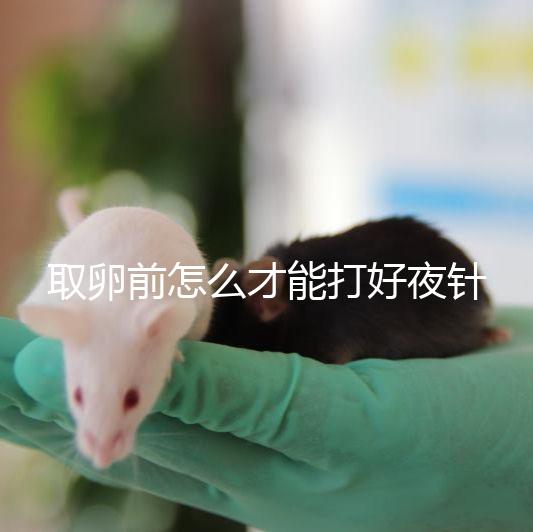 取卵前怎么才能打好夜針?準(zhǔn)時按量注射是基礎(chǔ)條件