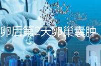 取卵后第2天卵巢囊腫，怎么能快速恢復(fù)？