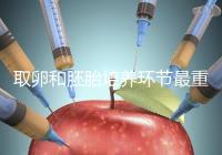 取卵和胚胎培養(yǎng)環(huán)節(jié)最重要?做試管嬰兒的你一定不知道!