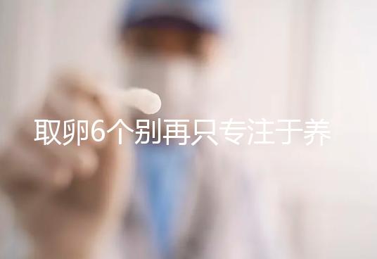 取卵6個別再只專注于養(yǎng)囊成功率了,能否受孕關鍵在受精上