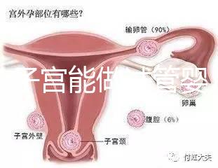 雙角子宮能做試管嬰兒嗎？可以，但這2大條件缺一不可