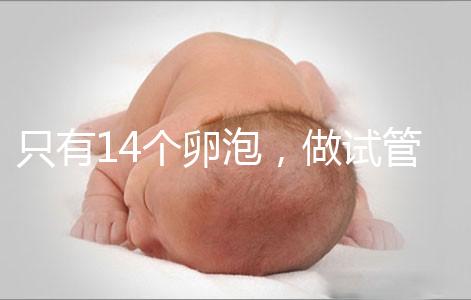 只有14個卵泡,做試管嬰兒到底要不要養囊?