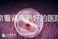 北京看腎病最好的醫(yī)院（北京腎內(nèi)科最厲害三個(gè)醫(yī)生）