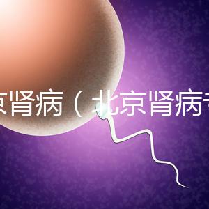 北京腎?。ū本┠I病專家排名）