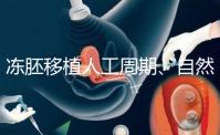 凍胚移植人工周期、自然周期怎么選?哪個成功率高?