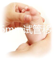 內膜16mm試管移植能否著床速覽，可否移植看身體情況
