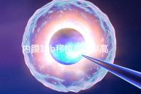 內膜10b移植成功率高不高，容不容易著床得看這幾個方面