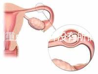 劃重點(diǎn)!目前并沒有所謂的“弓形蟲疫苗”,別再害自己貓咪了