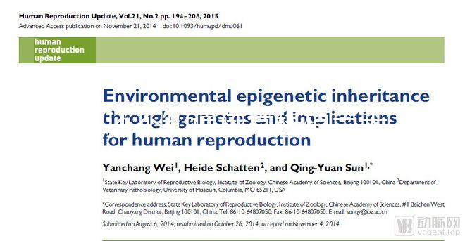 別還不知道試管移植當(dāng)天打什么針容易著床，用對(duì)能更快好孕