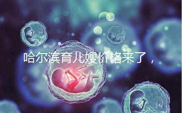 哈爾濱育兒嫂價格來了，公司排行榜top1多少錢看完了解