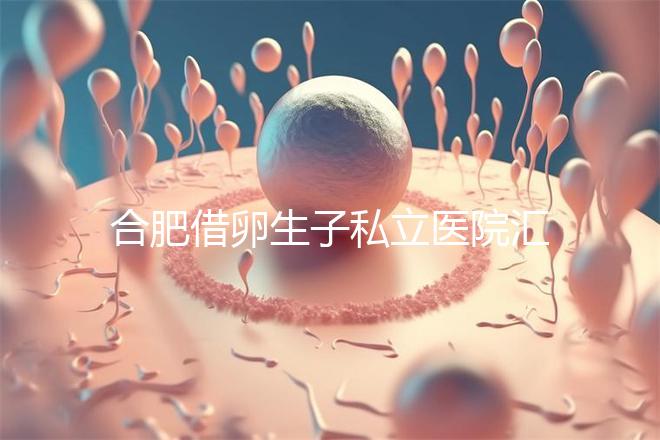 合肥借卵生子私立醫院匯總，2024哪家排名好一覽了然